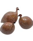 Guinea Fowl, White Spotted Red