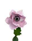 Handmade Paper Anemone, Pale Pink