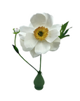 Handmade Open Paper Peony with Bud, Off White
