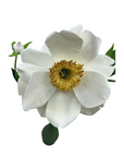 Handmade Open Paper Peony with Bud, Off White