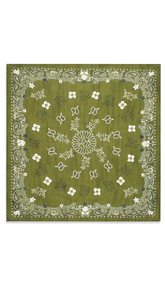 Green Bandana Dinner Napkin, Set of 4