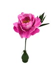 Handmade Paper Peony, Dark Pink