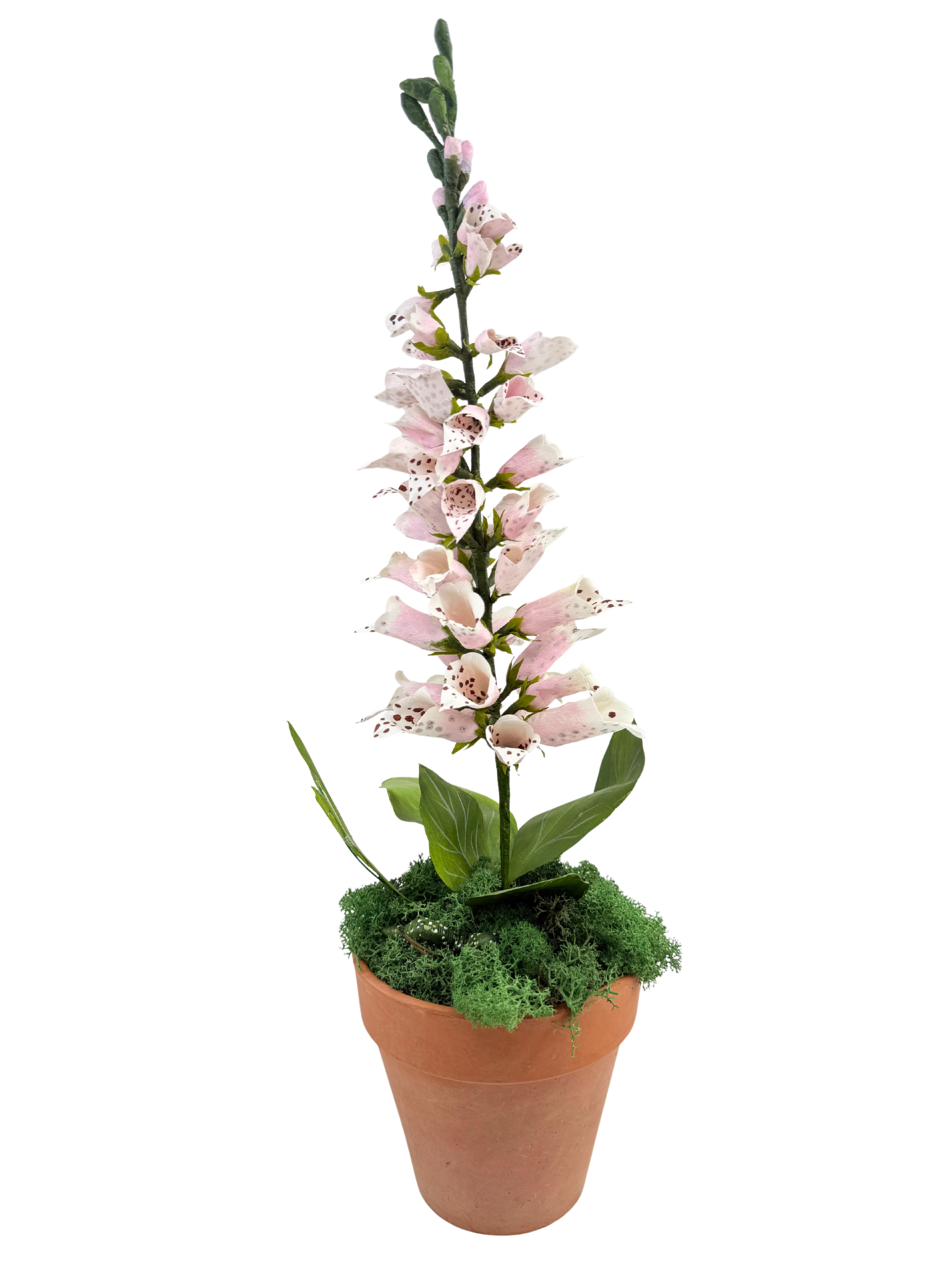 can you plant foxglove in pots Handmade Pink Paper Potted Foxglove – Ellis Hill
