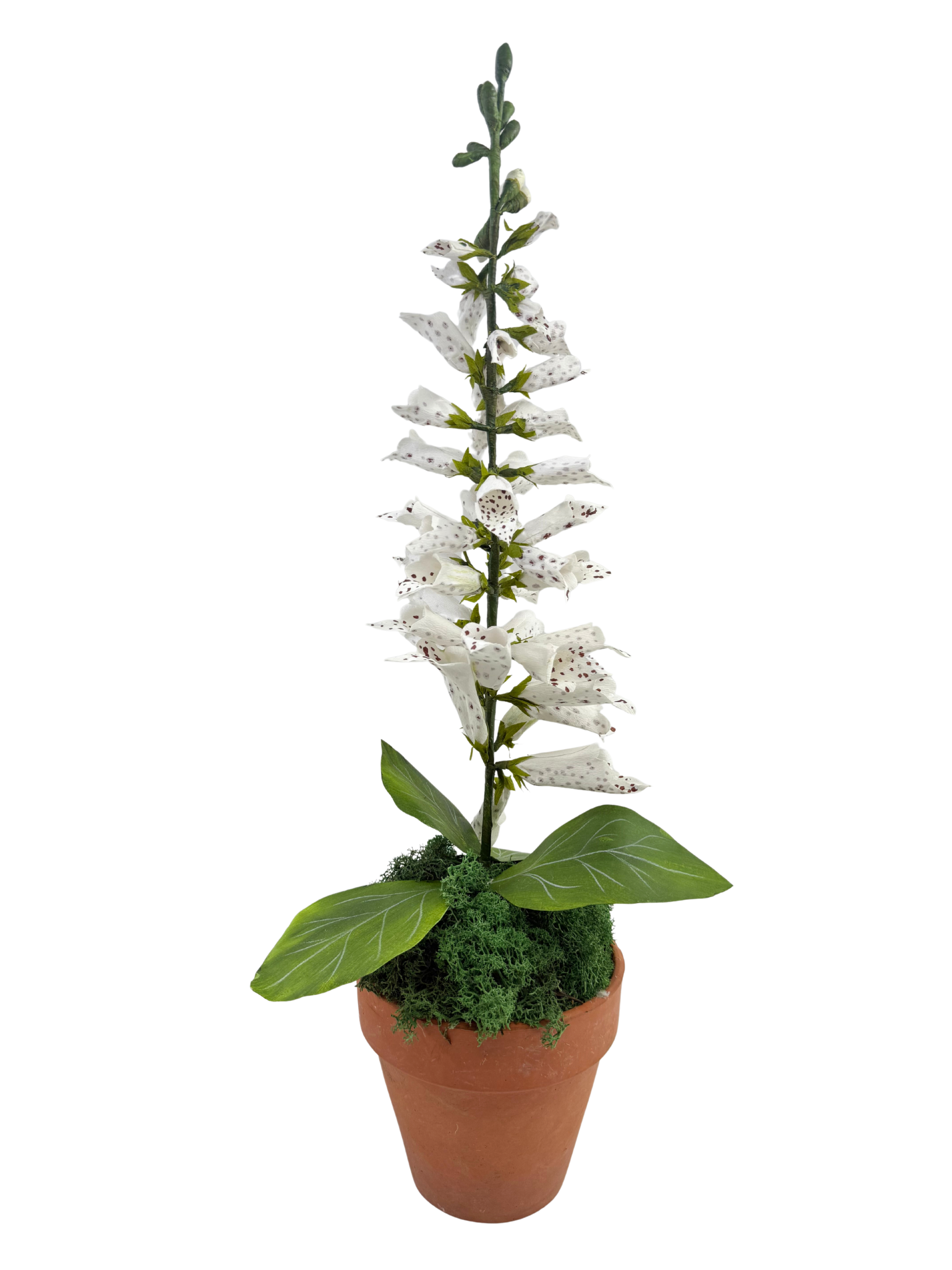 foxglove plant in pot Handmade White Paper Potted Foxglove – Ellis Hill