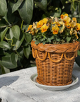 Small Rattan Pot