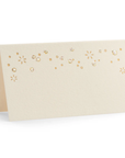 Bubbles Place Cards